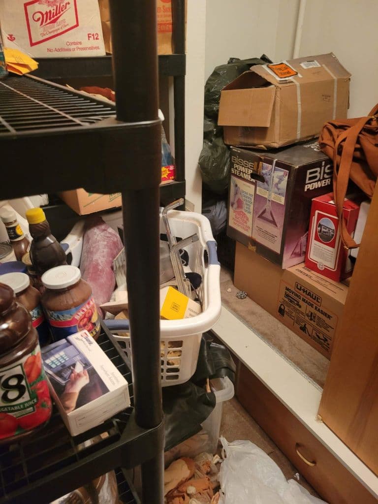 Cluttered storage closet with boxes, baskets, and various household items.