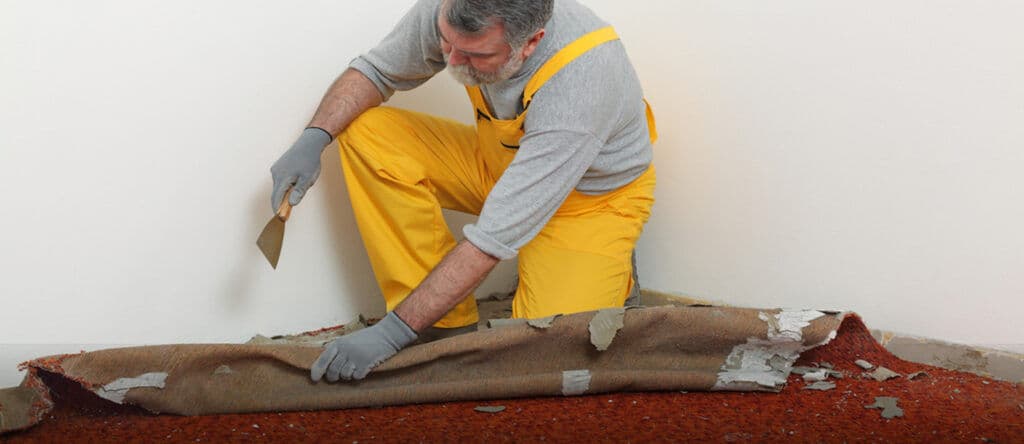 Top 5 Methods to Remove Mold from Carpet image