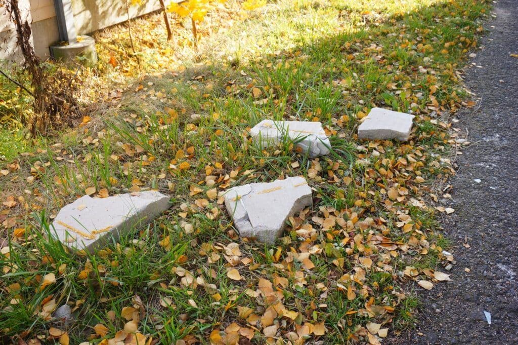 Effective Yard Waste Disposal Methods You Should Know image