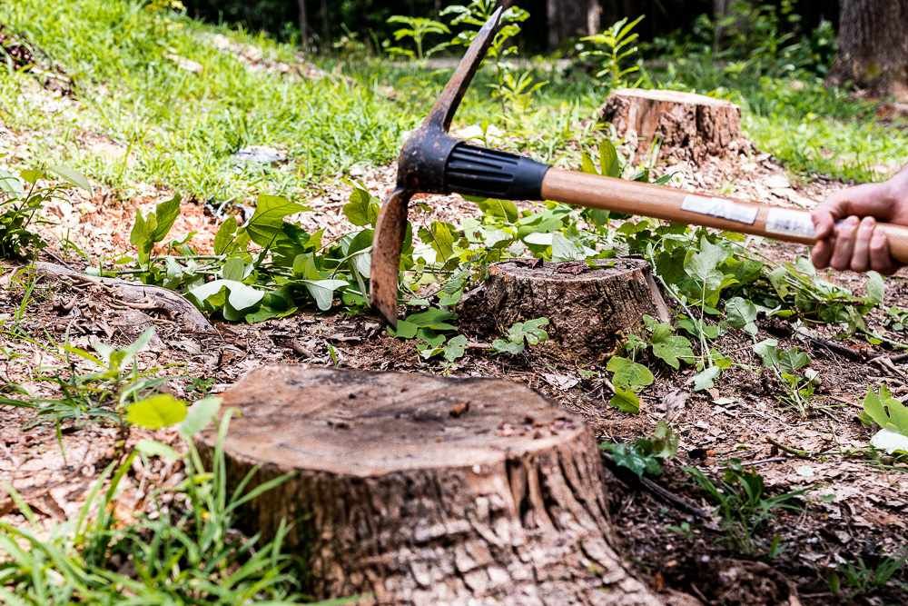 Tree Stump Remover